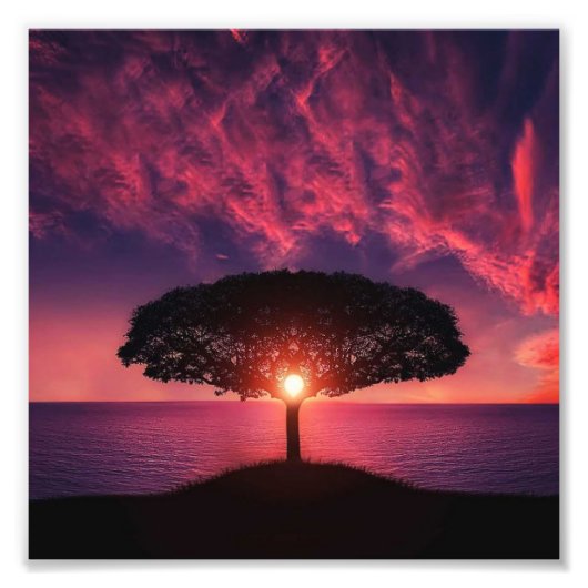 ツリーと太陽 フォトプリント            (正面)