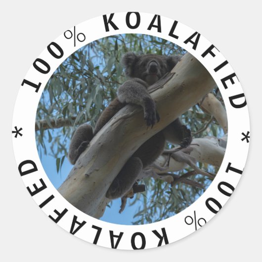 ツリーにおもしろい認定された可愛いコアラ ラウンドシール (正面)