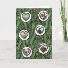 ツリーにクリスマスチキンのオーナメント カード