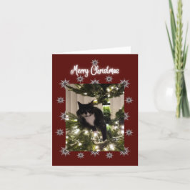 ツリーにタキシード猫とメリークリスマスカード。 シーズンカード