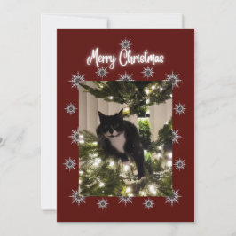 ツリーにタキシード猫とメリークリスマスカード。 シーズンカード