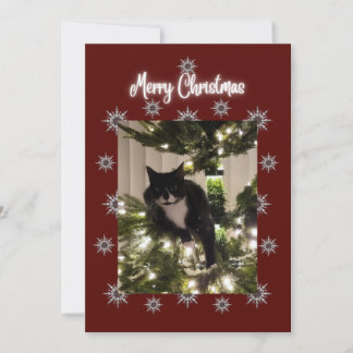 ツリーにタキシード猫とメリークリスマスカード。 シーズンカード