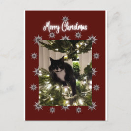 ツリーにタキシード猫とメリークリスマスカード。 シーズンポストカード