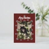 ツリーにタキシード猫とメリークリスマスカード。 シーズンポストカード (スタンド正面)