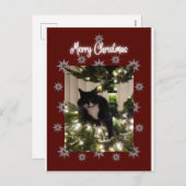 ツリーにタキシード猫とメリークリスマスカード。 シーズンポストカード (正面/裏面)