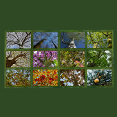 ツリーのクラウン写真 – 長 カレンダー