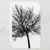 ツリーのシルエット 便箋 (正面/裏面)