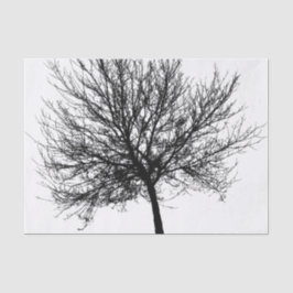 ツリーのシルエット 薄葉紙