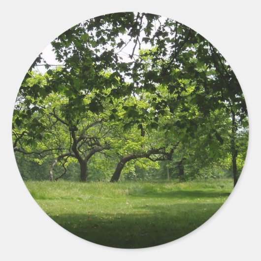 ツリーのシール ラウンドシール (正面)