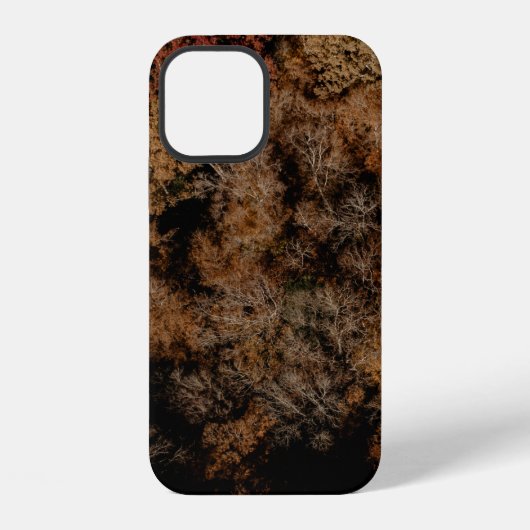 ツリーのトップビュー写真 iPhoneケース (裏面)