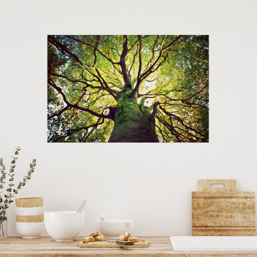 ツリーのハグ ポスター (キッチン)