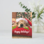 ツリーの下で眠っているクリスマスゴールデンレトリバー犬 シーズンポストカード (スタンド正面)