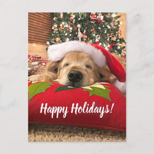 ツリーの下で眠っているクリスマスゴールデンレトリバー犬 シーズンポストカード (正面)