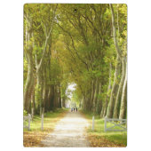 ツリーの並木道クリップボード クリップボード (裏面)