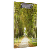 ツリーの並木道クリップボード クリップボード (右)