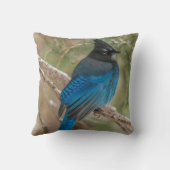 ツリーの中のステラーのカケバドリ クッション (裏面)