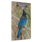 ツリーの中のステラーのカケバドリ クリップボード (右)