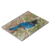 ツリーの中のステラーのカケバドリ ノートブック (左側)