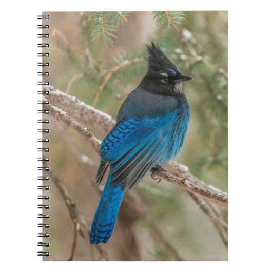 ツリーの中のステラーのカケバドリ ノートブック (正面)