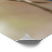 ツリーの中のステラーのカケバドリ ポスター (角)