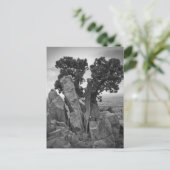 ツリーの分割 ポストカード (スタンド正面)