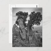 ツリーの分割 ポストカード (正面/裏面)