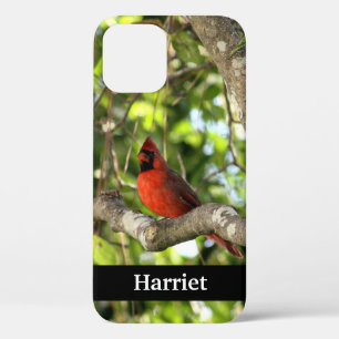 ツリーの赤い(鳥)ショウジョウコウカンチョウパーソナライズされた iPhone 12ケース