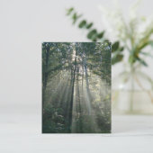 ツリーを通して太陽光線オンタリオ葉書 ポストカード (スタンド正面)