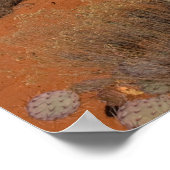 ツリーアットコートハウスビュート2016 ポスター (角)