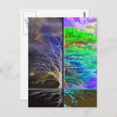 ツリーオブライフつながり ポストカード (正面/裏面)