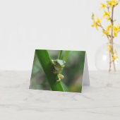 ツリーカエルフレンドシップグリーティングカード カード (黄色い花)
