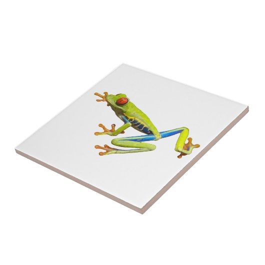 ツリーカエル タイル (側面)