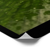 ツリーカエル – ノウセリーサファリパーク ポスター (角)