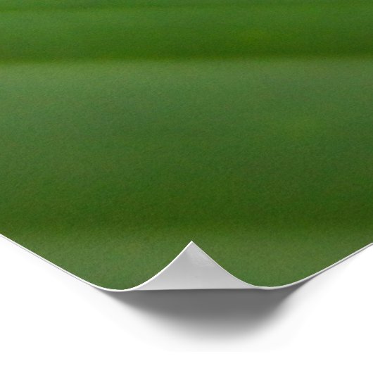 ツリーカエル ポスター (角)