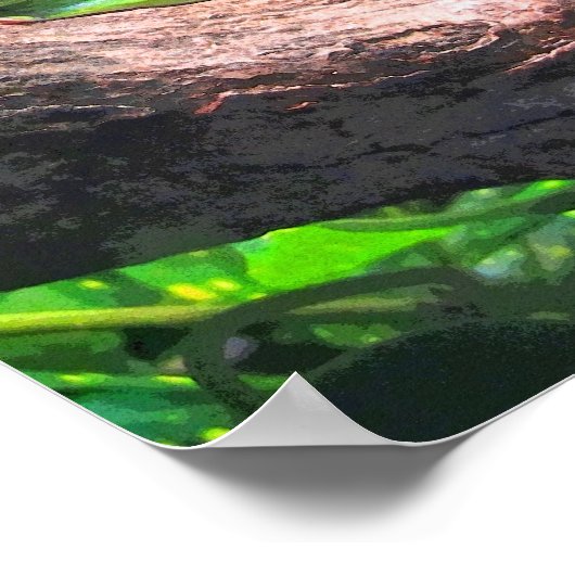 ツリーカエルCB ポスター (角)