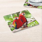 ツリーカラフルブランチ上の2つのパロット スクエアペーパーコースター (アングル)