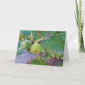 ツリーカードの白いイチジク カード (正面)