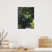 ツリーキャノピつるーの装飾的な球体の都市自然 ポスター (キッチン)