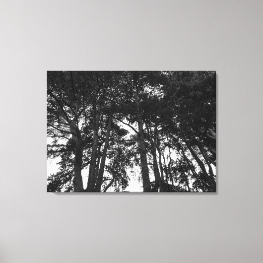 ツリーキャノピーII、ビュートパーク、カーディフ キャンバスプリント (正面)