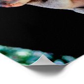 ツリーグレーでかわいいコアラ ポスター (角)