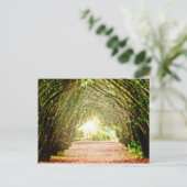 ツリーコリドー ポストカード (スタンド正面)