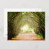 ツリーコリドー ポストカード (正面/裏面)