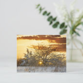 ツリーサンセットウィンターバーモント ポストカード (スタンド正面)