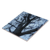 ツリーシルエット写真タイル タイル (側面)