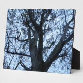 ツリーシルエット写真プレート フォトプラーク (側面)
