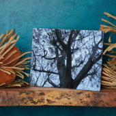 ツリーシルエット写真プレート フォトプラーク (側面)