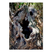 ツリースタンプスカル (正面)