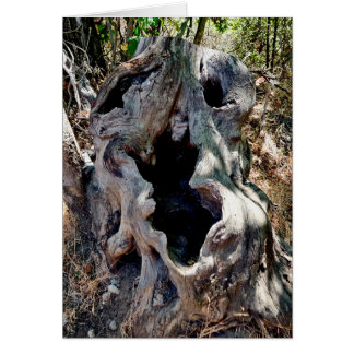 ツリースタンプスカル