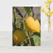 ツリースペインのグリーティングカードのレモン カード (黄色い花)