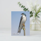 ツリースローカード ポストカード (スタンド正面)